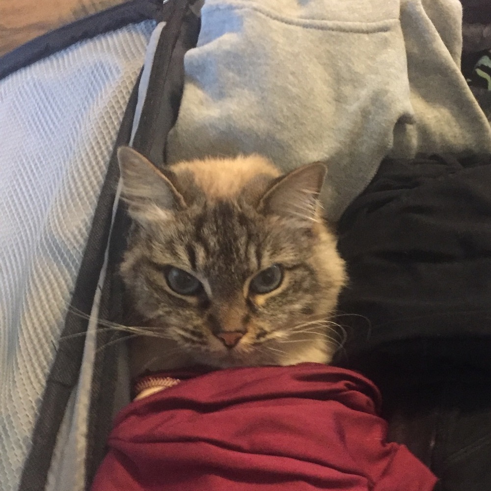 Meet your Posher, Emery